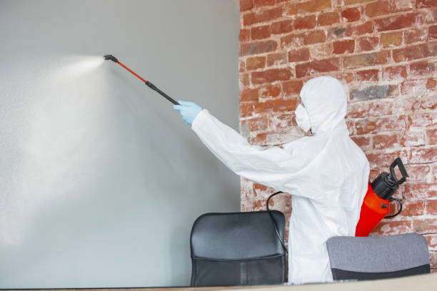Biohazard Mold Removal in Pine Castle, FL
