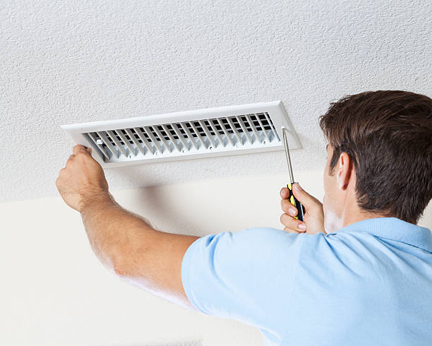 Best Crawl Space Mold Remediation  in Pine Castle, FL