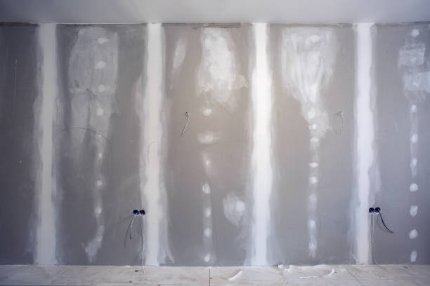 Best Black Mold Removal  in Pine Castle, FL
